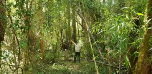 Tocar las estrellas: invierte en Fundo Las Ortigas