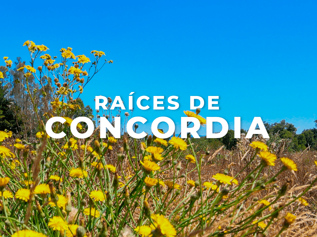 Raíces de Concordia: Naturaleza viva entre volcanes, ríos, y conexión a solo minutos