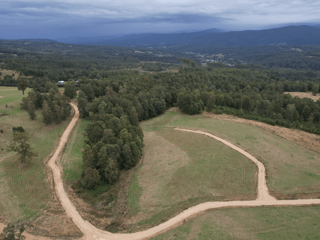 Caminos interiores terminados en Raíces de Miramonte, proyecto de parcelas con avance real cerca de Purranque