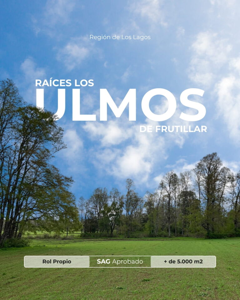 Raíces Los Ulmos_Próximamente_1