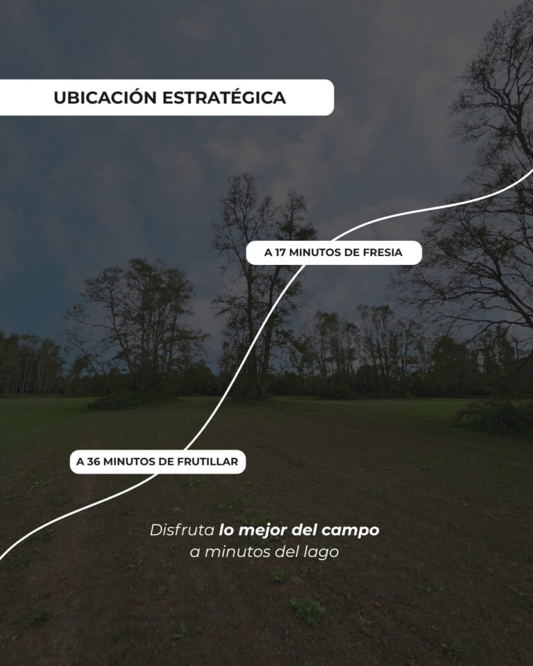 Raíces Los Ulmos_Próximamente_2