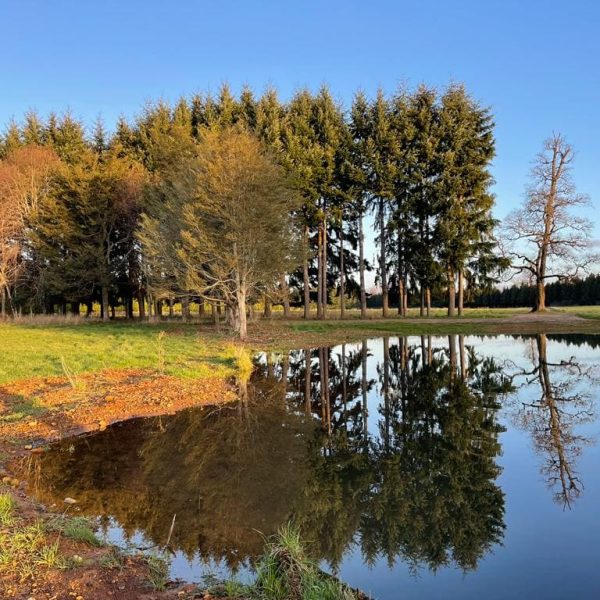 WhatsApp-Image-2022-07-18-at-5.16.57-PM-1