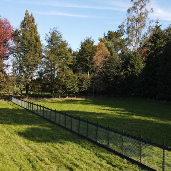 WhatsApp-Image-2022-08-16-at-6.21.43-PM-3