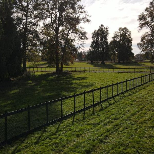 WhatsApp-Image-2022-08-16-at-6.21.43-PM-4