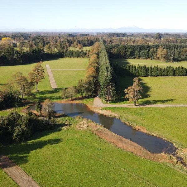 WhatsApp Image 2022-08-16 at 6.21.44 PM